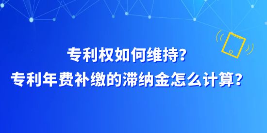 專利權(quán)如何維持？專利年費補繳的滯納金怎么計算？