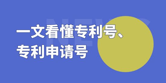 專利申請(qǐng)?zhí)柨梢圆榈綄＠?hào)嗎,